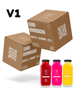 24 DÁVEK GURU KOMBUCHA MIX BOX V1