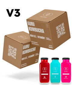 24 DÁVEK GURU KOMBUCHA MIX BOX V3