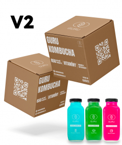 24 DÁVEK GURU KOMBUCHA MIX BOX V2