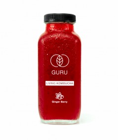 12 DÁVEK GURU KOMBUCHA GINGER BERRY